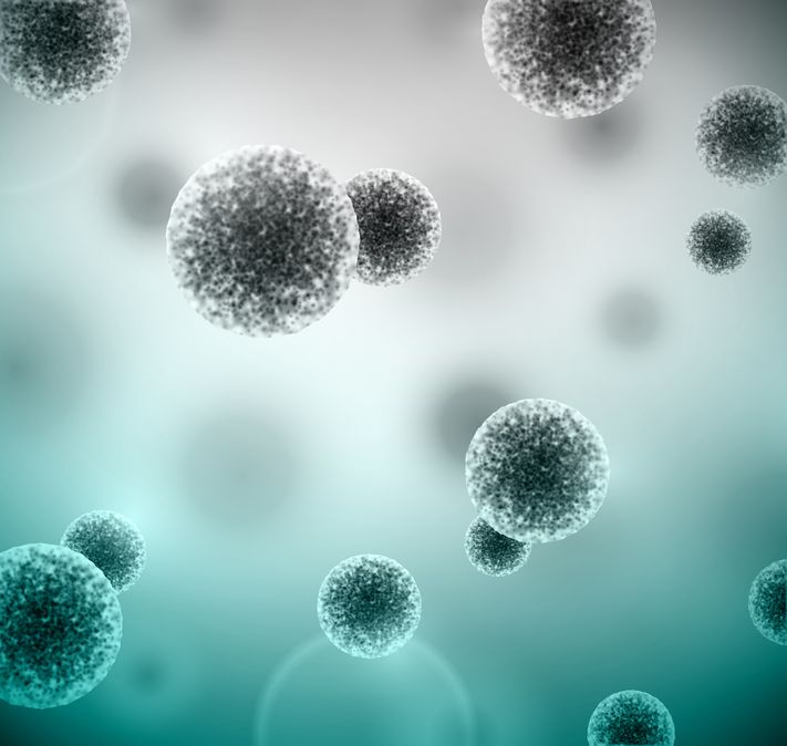 Anticancer Effects and Conclusion
